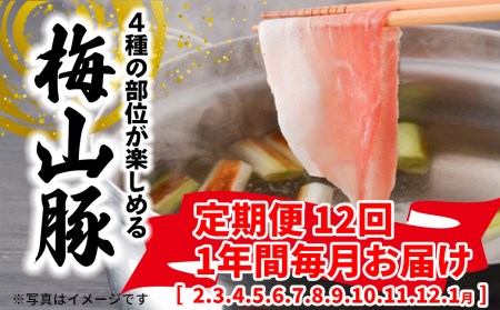 K2093 【定期便】 塚原牧場 幻の豚 「梅山豚」 しゃぶしゃぶセット <12回コース>