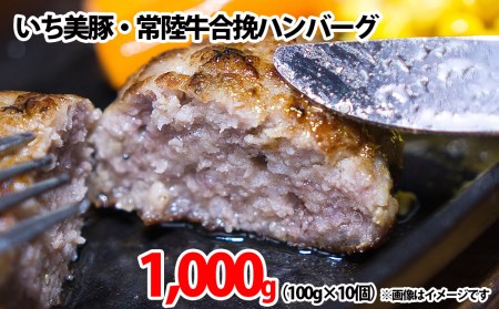 S227 境町産 いち美豚と茨城産常陸牛がコラボした 合挽ハンバーグ 1,000g (100g × 10個)