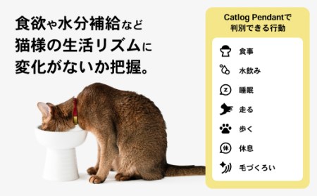 K2122 【1猫様用】Catlog 基本セット