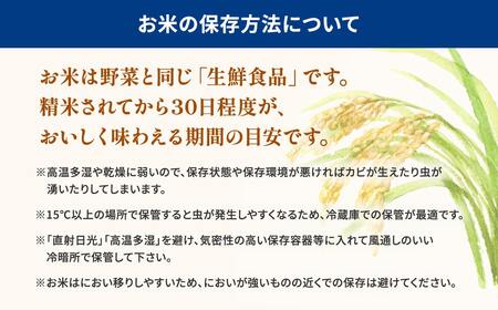【ブレンド米】とねさかい 令和8年1月内発送 10kg 茨城県産 K2632