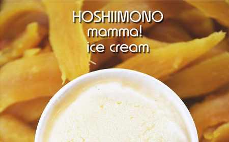 K2234 干し芋専門店「ほしいもの百貨」の アイス 「HOSHIIMONO MAMMA ICECREAM 4個」