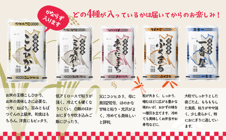 K1946 ＜07月月内発送＞ 令和5年産 お米4種食べくらべ 20kg 茨城県産