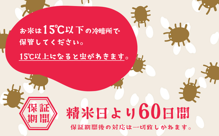 K1946 ＜11月月内発送＞令和5年産【新米予約開始！】 お米4種食べ