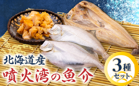 噴火湾魚介セット(宗八かれい干物2枚・ホッケ干物1枚・ツブむき身500g)【配送不可地域：離島】【1528197】