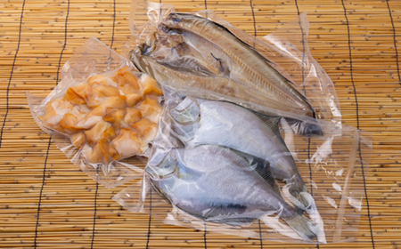 噴火湾魚介セット(宗八かれい干物2枚・ホッケ干物1枚・ツブむき身500g)【配送不可地域：離島】【1528197】