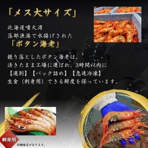 【数量限定】ボタン海老 大サイズ 約300g(8尾～10尾) 北海道八雲町産 卵あり 刺身用【配送不可地域：離島】【1553378】