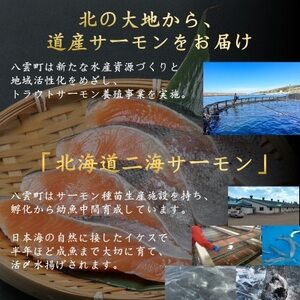 北海道二海サーモン 定塩 切身 厚切 4切×4パック(合計16切)【配送不可地域：離島】【1555035】