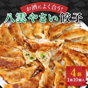 【毎月定期便】お酒によく合う野菜餃子40個(10個×4箱)全3回【配送不可地域：離島】【4058440】