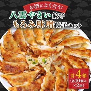 【毎月定期便】餃子2種セット40個(野菜餃子10個入り×2箱・もろみ味噌餃子10個入り×2箱)全3回【配送不可地域：離島】【4058443】