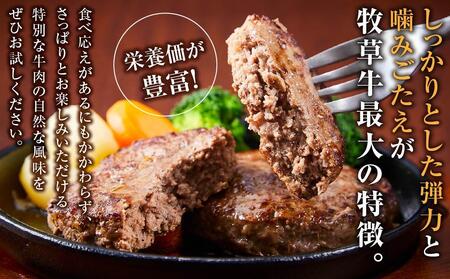 北海道産 オーガニック牛肉 生ハンバーグ約800g  | ハンバーグ