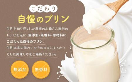 八雲ミルクプリン 90g×14個入