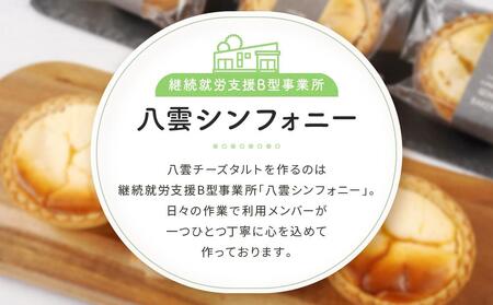 八雲チーズタルト 60g×18個入