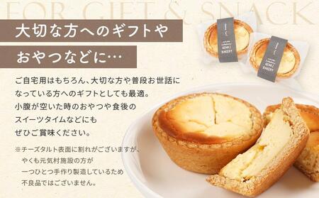八雲チーズタルト　60g×24個入  