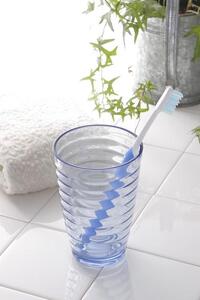 天然予防ハミガキ粉　シェルピカ80g×3本セット 