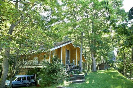 北海道八雲百花はちみつ390g(130g×3本) |はちみつ