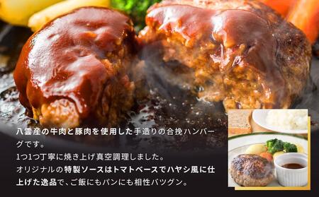 【ふるなびWEEK対象】肉屋のハンバーグ(ハヤシ風)　140g×15個 　FN-Limited-PR