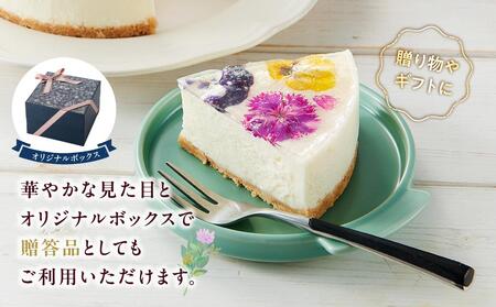 ”食べるブーケ”レアチーズケーキ15cm 1ホール   | チーズケーキ　