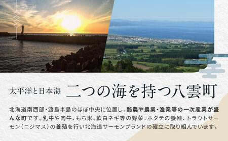 北海道八雲町　宿泊割引券3,000円分×10枚 | ホテル ホテルチケット 観光 宿泊