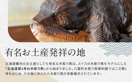 北海道八雲町　宿泊割引券3,000円分×10枚 | ホテル ホテルチケット 観光 宿泊