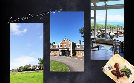 【ふるなびWEEK対象】ハーベスター八雲 八雲産豚のスペアリブ4パックセット FN-Limited-PR