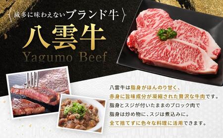 八雲牛 サーロインブロック 500g 
