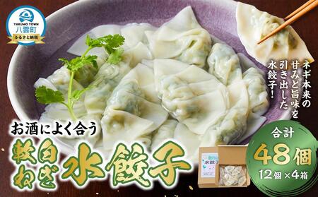 【食感と昆布だしにこだわり】 お酒によく合う軟白ねぎ水餃子48個(12個×4箱) |餃子
