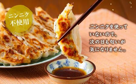 【食感と昆布だしにこだわり】 【2回定期便】お酒によく合う野菜餃子40個(10個×4箱) |餃子