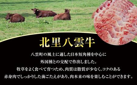 【2回定期便】北里八雲牛 加工品3点詰め合わせセット | 定期便　