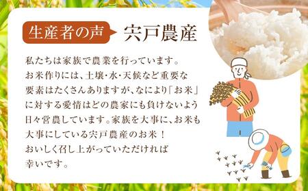 北海道八雲町熊石産 令和7年度産ゆめぴりか5kg(精白米)2025年10月上旬～発送開始 | ゆめぴりか ゆめぴりか ゆめぴりか ゆめぴりか ゆめぴりか　