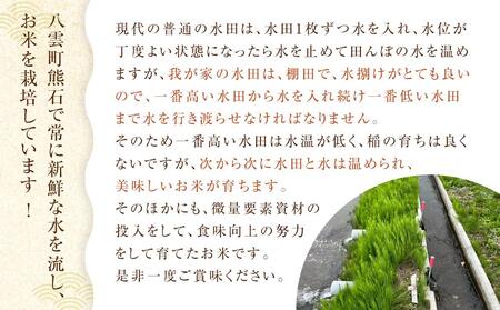 北海道八雲町熊石産 令和7年ゆめぴりか10kg(精白米) | ゆめぴりか