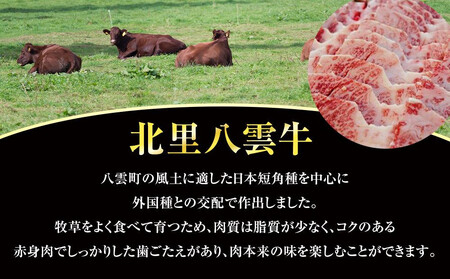 無塩せきコンビーフ95g×6缶 北里八雲牛 | コンビーフ