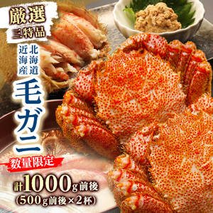 【数量限定】厳選3特品　北海道近海産毛ガニ500g前後×2杯_美味しいかに おいしいかに 人気のかに 八雲のかに 八雲町のかに 濃厚なかに 北海道のかに 新鮮 かに 冷凍 かに 三特 かに 厳選 かに 美味しいカニ おいしいカニ 人気のカニ 八雲のカニ 八雲町のカニ 濃厚なカニ 北海道のカニ 新鮮 カニ 冷凍 カニ 三特 カニ 厳選 カニ 美味しい蟹 おいしい蟹 人気の蟹 八雲の蟹 八雲町の蟹 濃厚な蟹 北海道の蟹 新鮮 蟹 冷凍 蟹 三特 蟹 厳選 蟹 美味しい毛ガニ おいしい毛ガニ 人気の毛ガニ 八雲の毛ガニ 八雲町の毛ガニ 濃厚な毛ガニ 北海道の毛ガニ 新鮮 毛ガニ 冷凍 毛ガニ 三特 毛ガニ 厳選 毛ガニ 美味しい毛がに おいしい毛がに 人気の毛がに 八雲の毛がに 八雲町の毛がに 濃厚な毛がに 北海道の毛がに 新鮮 毛がに 冷凍 毛がに 三特 毛がに 厳選 毛がに _【配送不可地域：離島】【1327533】