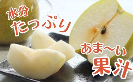 【2026年先行予約】 梨 「 あきづき 」 5kg (茨城県共通返礼品・かすみがうら市産) / 梨 なし 果物 フルーツ 先行予約 あきづき 5kg