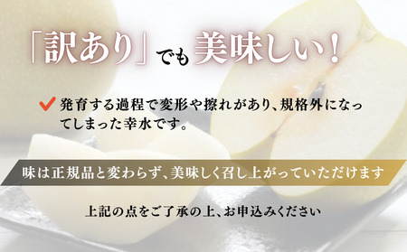 《訳あり》幸水　5kg（茨城県共通返礼品・かすみがうら市産） ／ 幸水 梨 なし ナシ 果物 くだもの フルーツ 訳あり 訳アリ 規格外 家庭用 5kg 産地直送 産直 茨城県 利根町