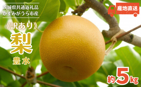 《訳あり》豊水　5kg（茨城県共通返礼品・かすみがうら市産） ／ 豊水 梨 なし ナシ 果物 くだもの フルーツ 訳あり 訳アリ 規格外 家庭用 5kg 産地直送 産直 茨城県 利根町