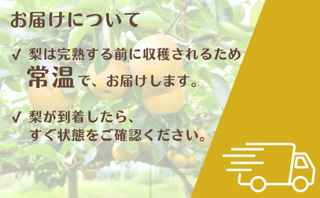 《訳あり》豊水　5kg（茨城県共通返礼品・かすみがうら市産） ／ 豊水 梨 なし ナシ 果物 くだもの フルーツ 訳あり 訳アリ 規格外 家庭用 5kg 産地直送 産直 茨城県 利根町