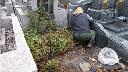 年間4回コース　町営霊園墓地（1区画）除草作業