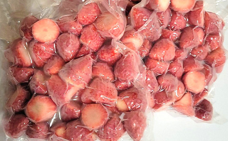 【緊急支援品/2024年3月より発送】完熟朝摘みとれたての冷凍いちご　とちおとめ　約1㎏（500g×2パック）　農家直送の冷凍苺を真空パックでお届け