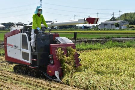 【6ヶ月定期便】利根町産【特別栽培米】コシヒカリ　精米5kg×6回