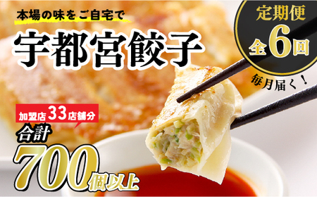 【6ヶ月定期便】宇都宮餃子　32店舗定期便　計700個以上 ｜ ぎょうざ 冷凍餃子 冷凍食品 惣菜 栃木県 宇都宮市 ※着日指定不可