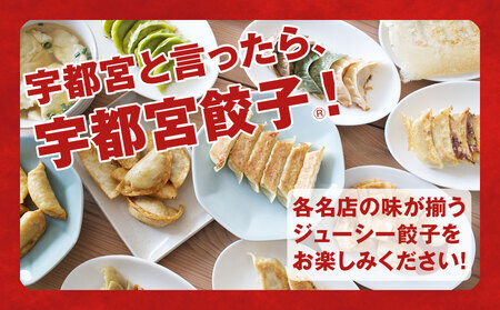 【6ヶ月定期便】宇都宮餃子　32店舗定期便　計700個以上 ｜ ぎょうざ 冷凍餃子 冷凍食品 惣菜 栃木県 宇都宮市 ※着日指定不可