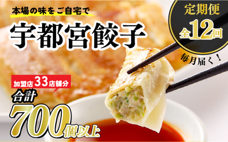【12ヶ月定期便】宇都宮餃子　32店舗定期便　計700個以上 ｜ ぎょうざ 冷凍餃子 冷凍食品 惣菜 栃木県 宇都宮市 ※着日指定不可