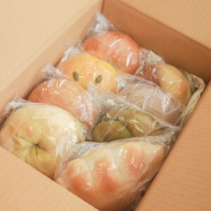 スマイルベーグル　おまかせ8個セット ※着日指定不可