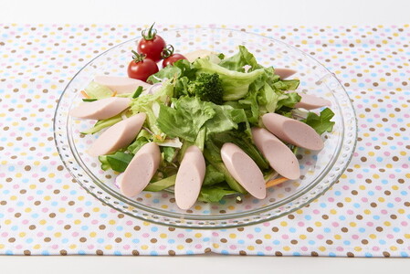 【6ヶ月定期便】DHA入りリサーラソーセージ 30％塩分カット　計180本｜健康 ダイエット ヘルシー 中性脂肪 コレステロール 朝ごはん 昼ごはん 夜ごはん おかず サラダ トースト ちょい足し ※着日指定不可