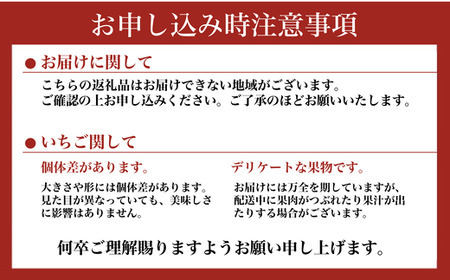 高級いちご 完熟スカイベリー2パック 600g アフター対応あり いちご