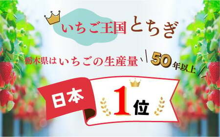 【先行予約】スカイベリー 2箱 1.16kg（1箱(2パック入)×2） いちご 大粒 | ギフト 贈答 栃木県 宇都宮市 果物 フルーツ 苺 イチゴ 人気　※2025年1月上旬～3月上旬頃に順次発送予定　※北海道・沖縄・離島への配送不可