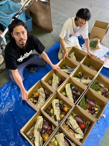 UTSUNOMIYA BASEの畑産野菜ボックス 2kg