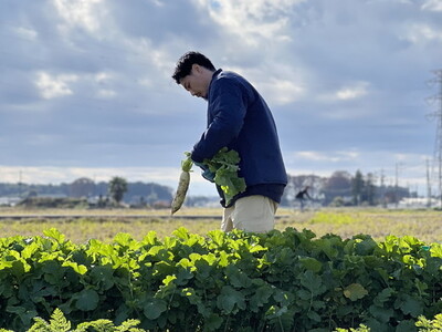 UTSUNOMIYA BASEの畑産野菜ボックス 2kg