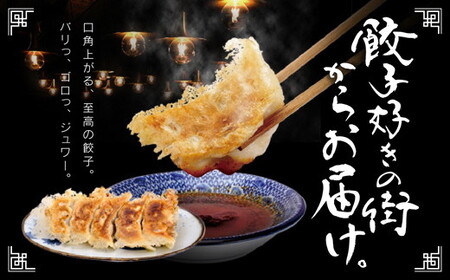 芭莉龍の冷凍餃子【8人前】 ※着日指定不可