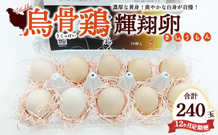【定期便12ヶ月】烏骨鶏　濃厚な黄身！爽やかな白身が自慢！【烏骨鶏輝翔卵】20玉らくらく定期便 ◇ ※離島への配送不可